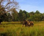 Kanha_National_Park_03