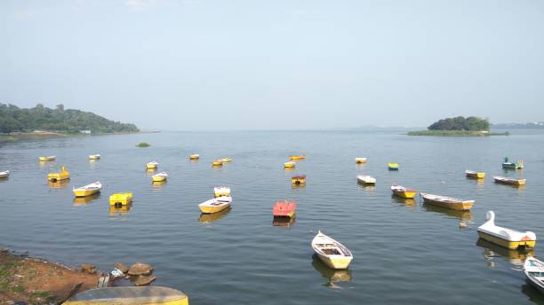 Boats Forming A Beautiful Scene In The Upper Lake, Bhopal.