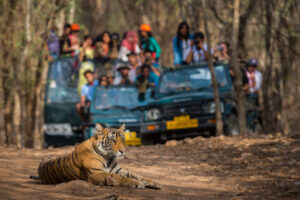 Bandhavgarh Tour Packages, Tour Package Bandhavgarh 