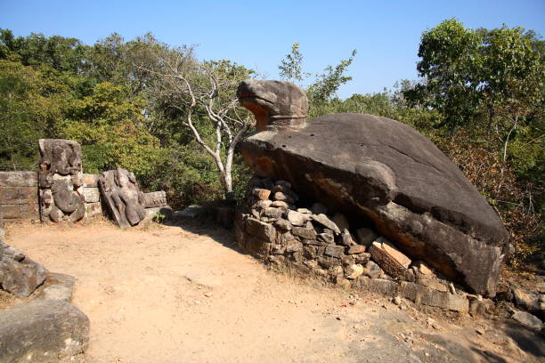 Bandhavgarh 13