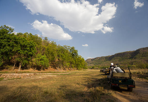 Bandhavgarh 2