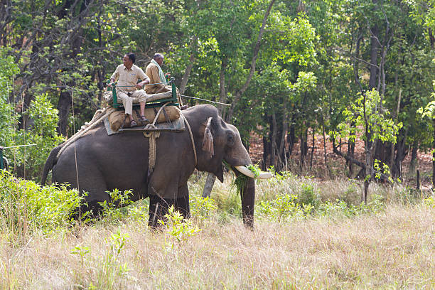 Pench Tour Packages