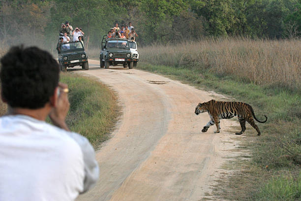 Kanha 1 Https://Mymptour.com/Wp-Content/Uploads/2023/07/Kanha-1.Jpg