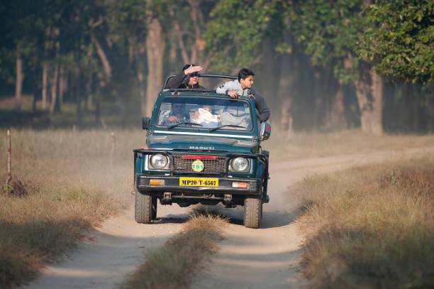 Kanha Tour Packages, Kanha Tour Package Booking