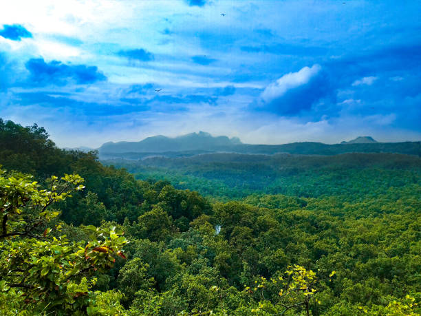 Satpura Range. The Satpura Range Is A Range Of Hills In Central India. The Range Rises In Eastern Gujarat State Running East Through The Border Of Maharashtra And Madhya Pradesh To The East Till Chhattisgarh.