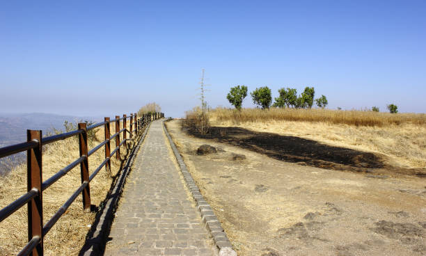 Peaceful Hill Station Pathway